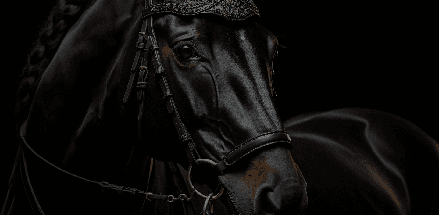 Black horse
